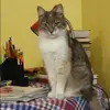 Отзыв от Лилия Литвинова